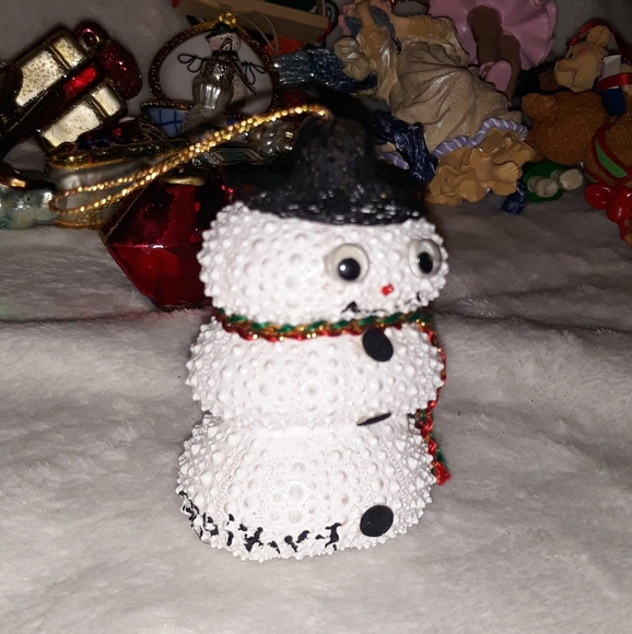 snowman made from 3 sea urchins has an adorable stubby spike body & googly eyes - Picture 7 of 7